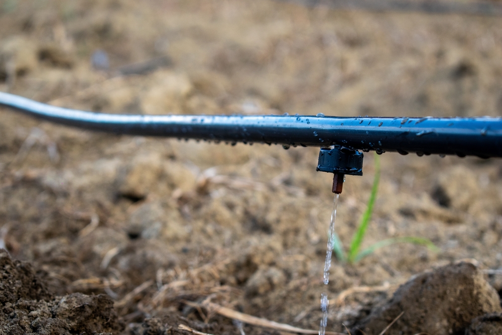 Gestion de l'eau, des efforts payants