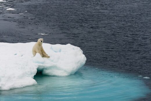 rechauffement-climatique-peu-banquise-terre