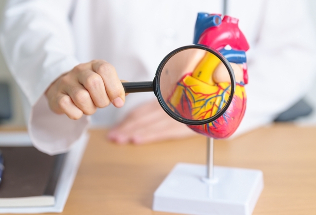 Un pacemaker plus petit qu’un grain de riz conçu pour les nouveau-nés