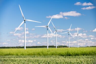 Parc éolien : la justice enterre le plus grand projet de France