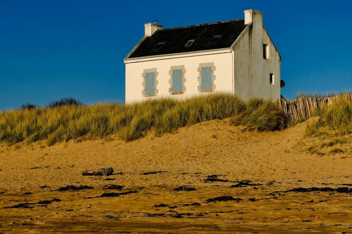 Logements Vacants Cour Comptes