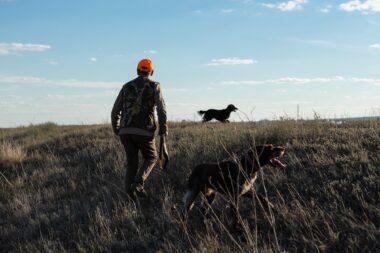 chasse, chasseurs, manifeste, national, mobilisation, revendication, protection