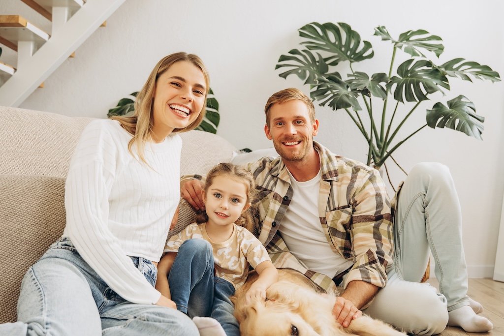 patrimoine-financier-francais-2024-dette-publique