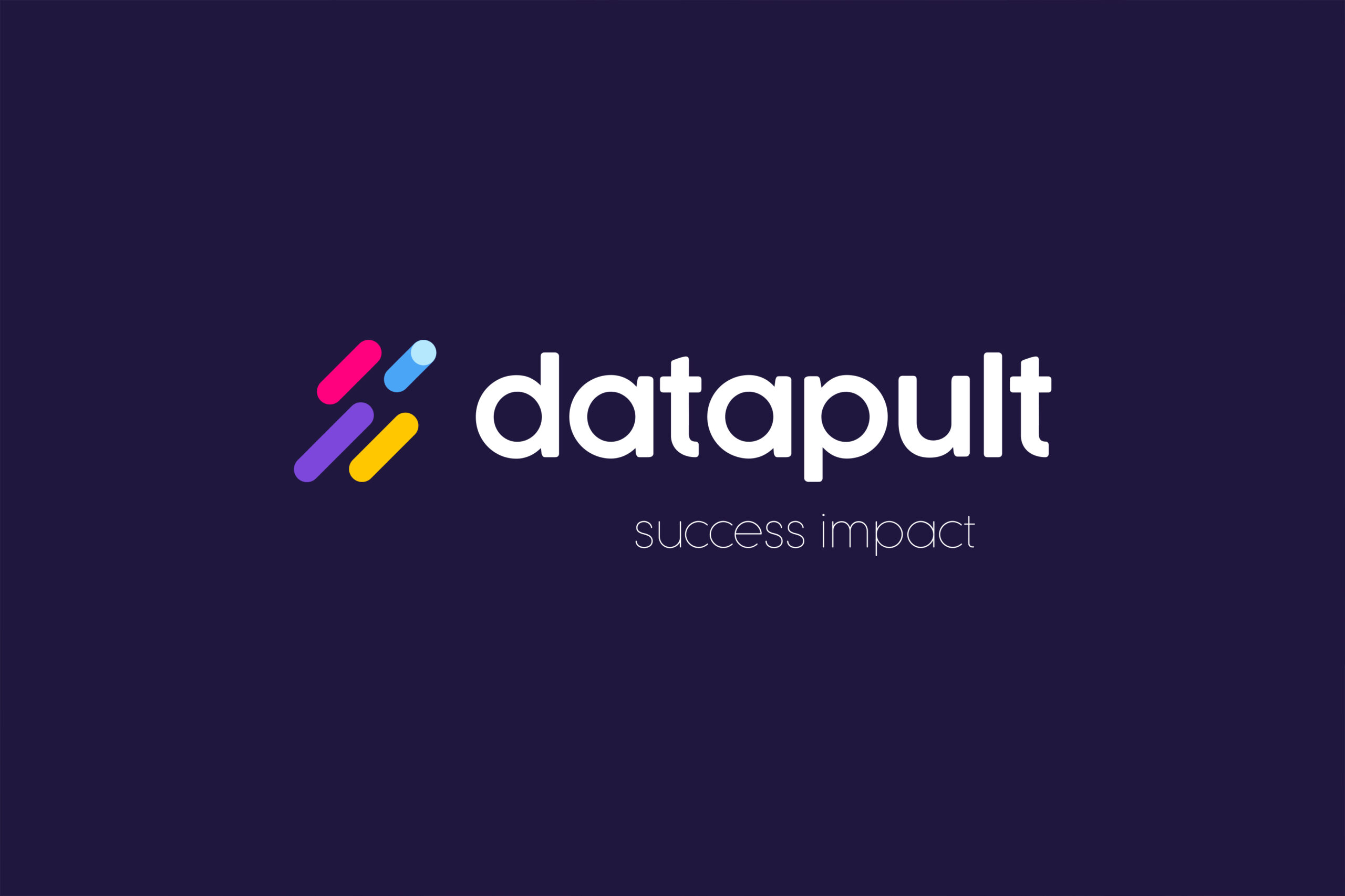 Logo Datapult