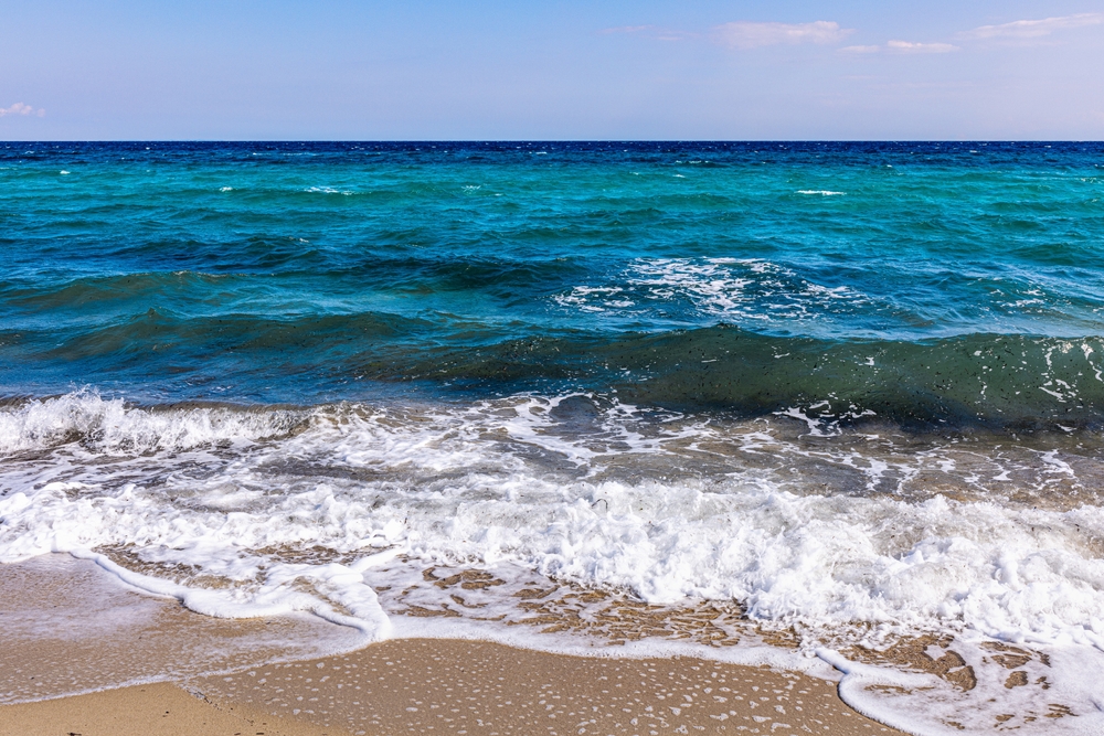 Les océans basculent : alerte sur la montée durable des températures marines