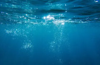 Le Japon inaugure sa première centrale à énergie osmotique