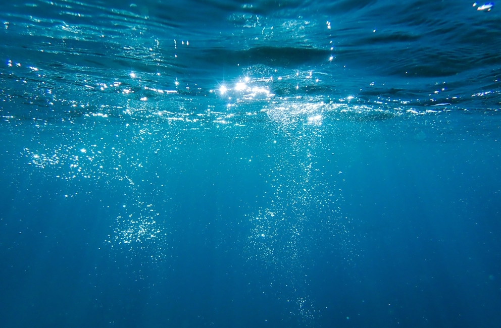 Le Japon inaugure sa première centrale à énergie osmotique