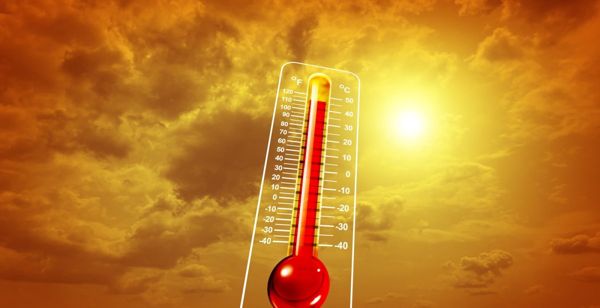 Ozone : alerte pollution sur la France en pleine canicule