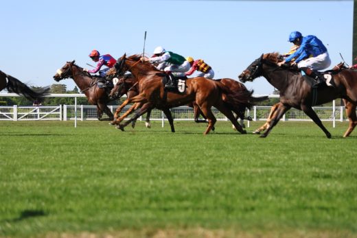 Sorties en famille avec France Galop Live : vivez une journée magique à l'hippodrome