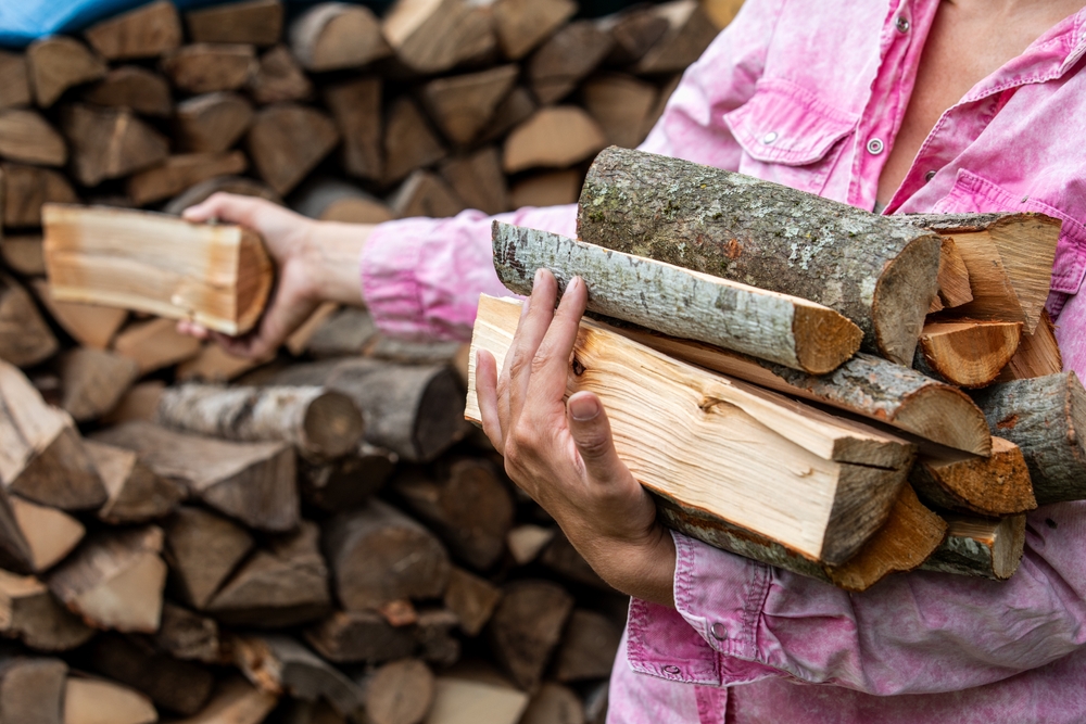 bois de chauffage