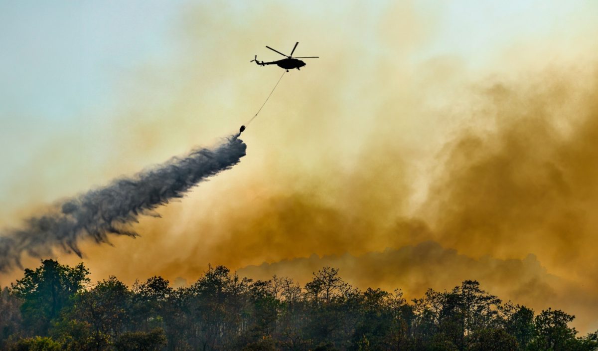 Incendies Forets Baisse 40 Dernieres Annees