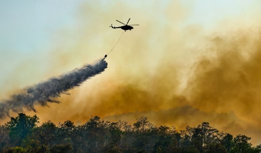 Incendies Forets Baisse 40 Dernieres Annees