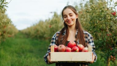 Mercosur Pourquoi Laccord De Libre Echange A Ete Reporte A Janvier