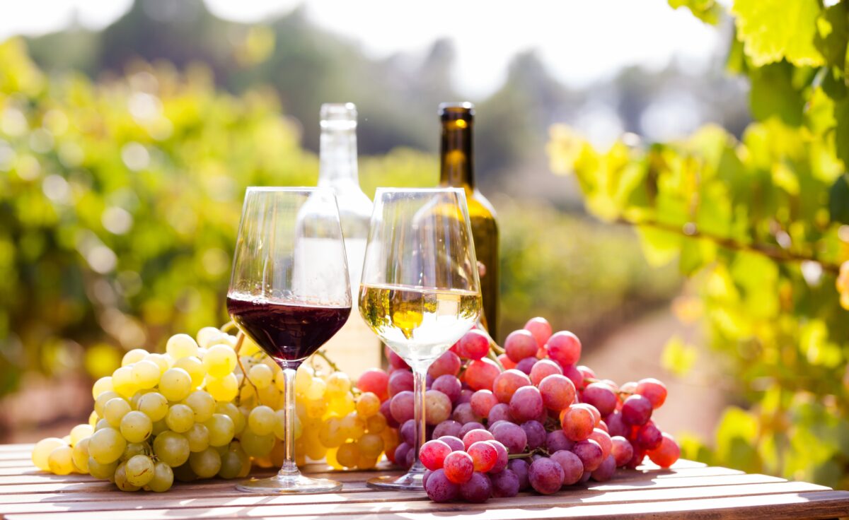 vin Michelin grappe classement vignoble