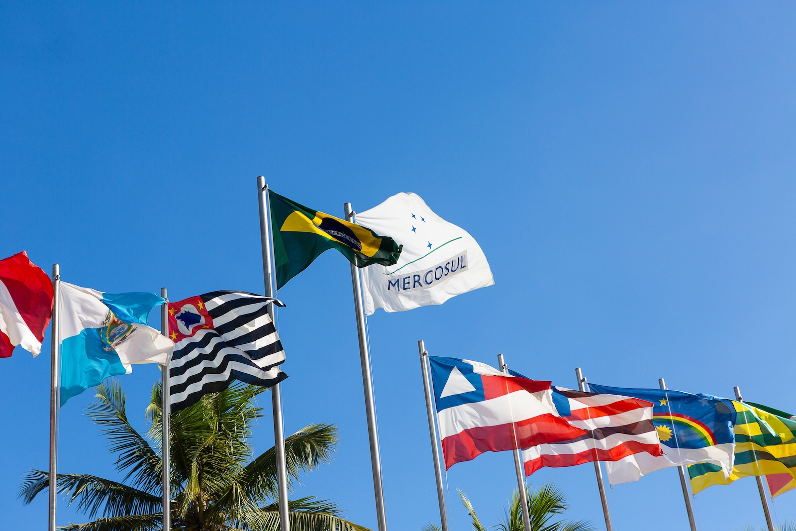 Le Mercosur bientôt signé : LFI et RN menacent de censure