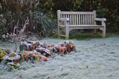 jardin gel