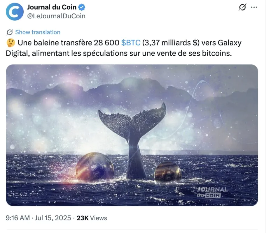 Arti Leost 07022026 7