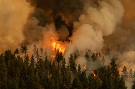 Markleeville,,california,usa, ,july,17,,2021:,the,tamarack,fire