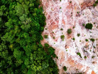 Amazonie : la déforestation provoque une sécheresse irréversible