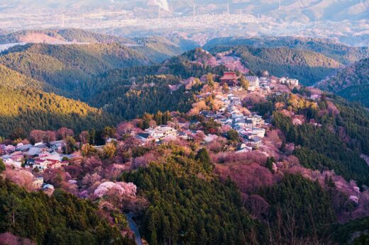 Viewpoint,of,mount,yoshino,with,traditional,village,among,cherry,blossom