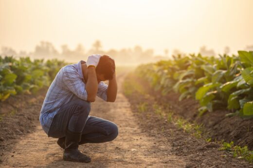 Loi Duplomb Et Pesticides Un Texte Pour Sauver Les Filieres Agricoles