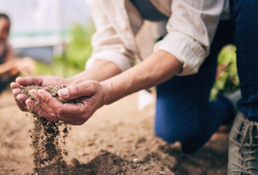 Sécheresse : les agriculteurs face à un printemps déjà critique