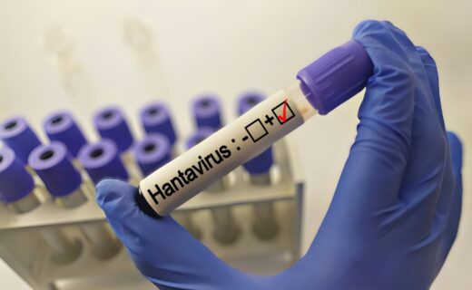 Hantavirus : la désinformation explose sur les réseaux sociaux, 8 contenus sur 10 jugés complotistes