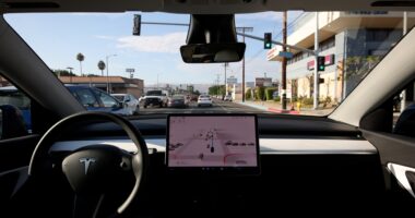 Los,angeles, ,aug,22:,tesla,model,y,driven,by