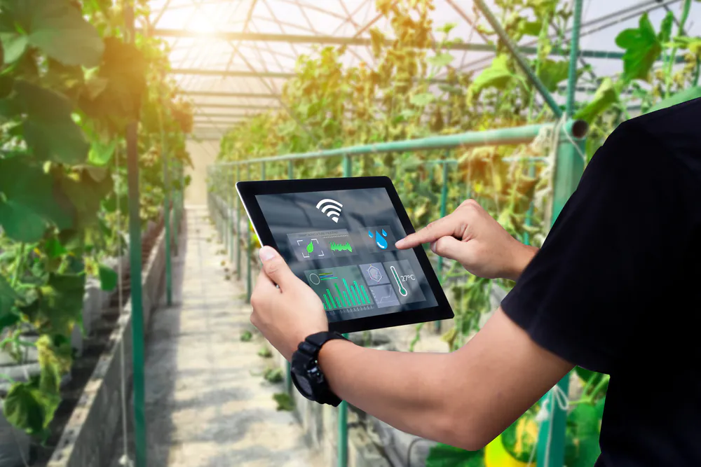 Agtech française : la fin de l'euphorie, le début de la maturité