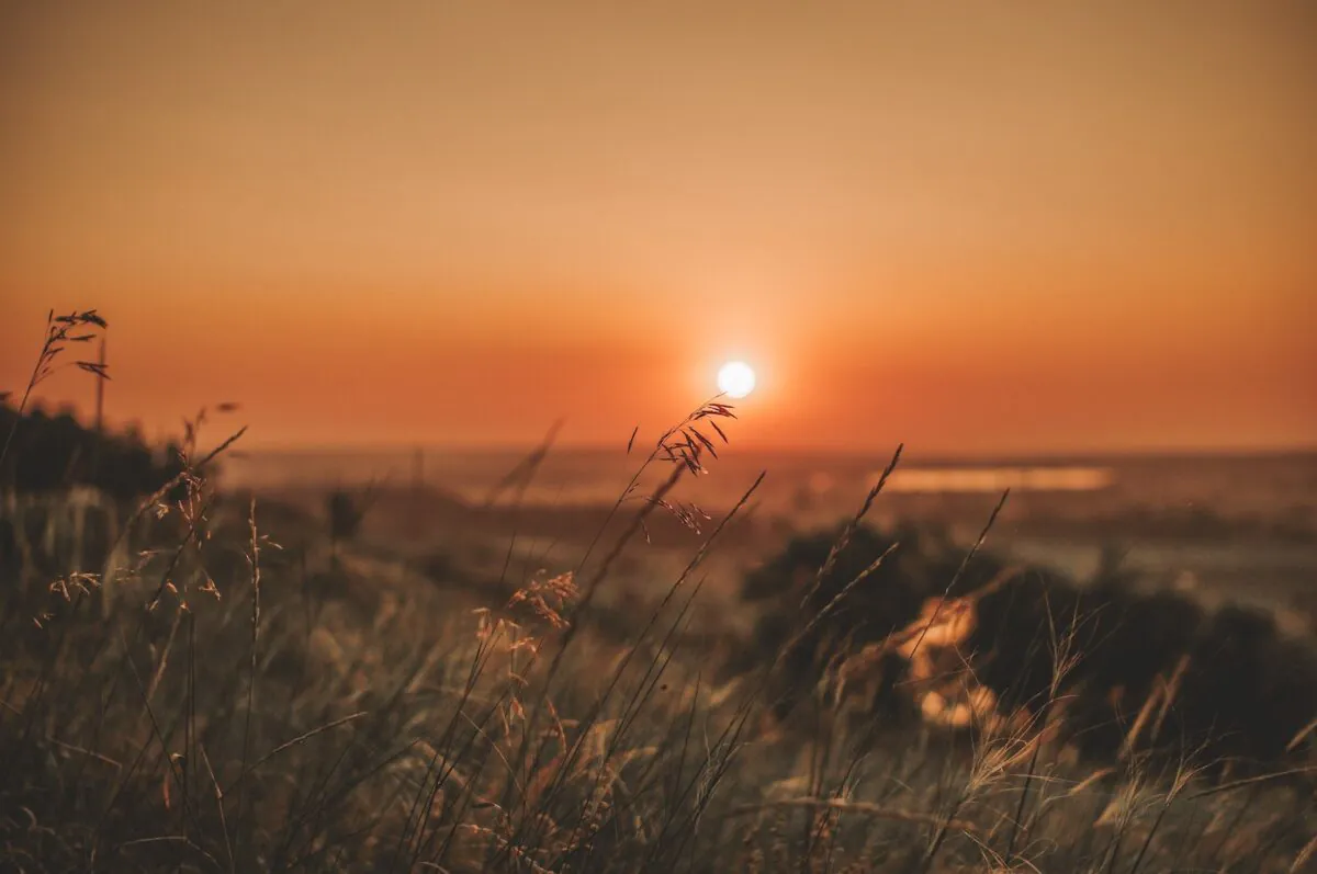 Mai 2026 : deuxième mois le plus chaud jamais enregistré, l'Europe face à une canicule historique