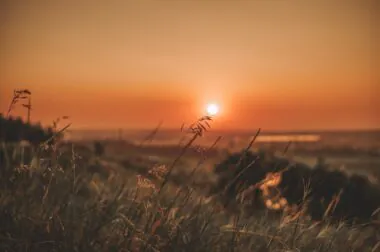 Mai 2026 : deuxième mois le plus chaud jamais enregistré, l'Europe face à une canicule historique