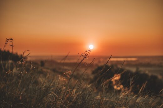 Mai 2026 : deuxième mois le plus chaud jamais enregistré, l'Europe face à une canicule historique