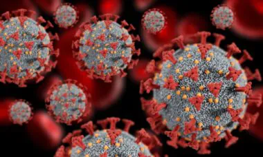 Taux de létalité actuel de l'épidémie d'Ebola en RDC
