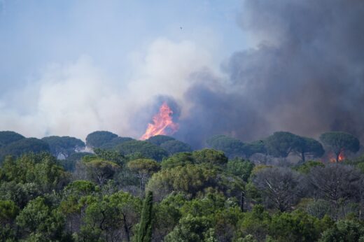 Canicule : le risque d'incendie atteint un niveau critique dans le sud de la France