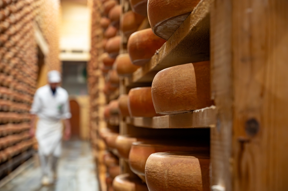 Sécheresse : le gouvernement assouplit les règles AOP de trois fromages
