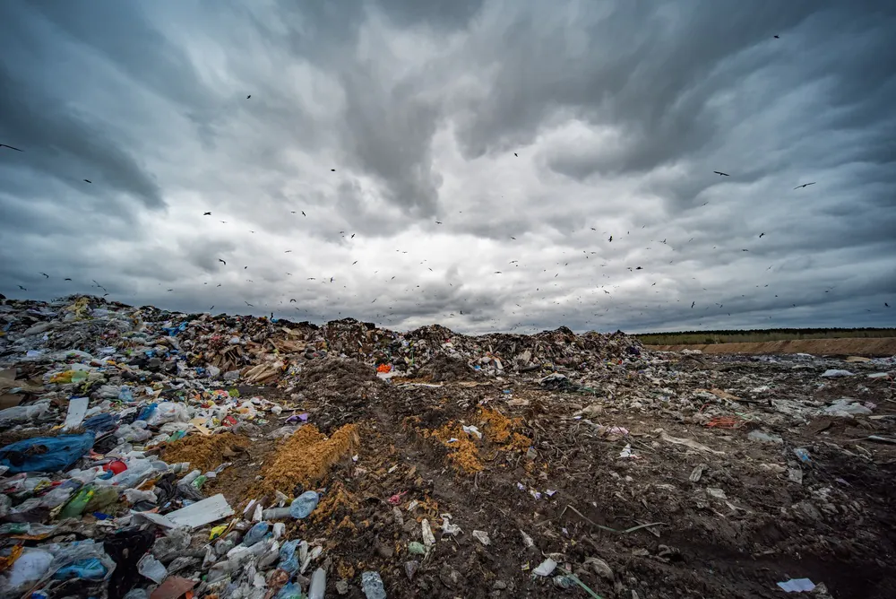 Pollution plastique : les fleuves asiatiques coûtent des milliards