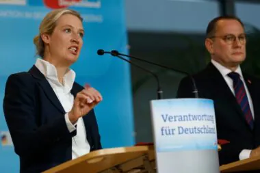 Allemagne : l'Afd continue sa percée historique