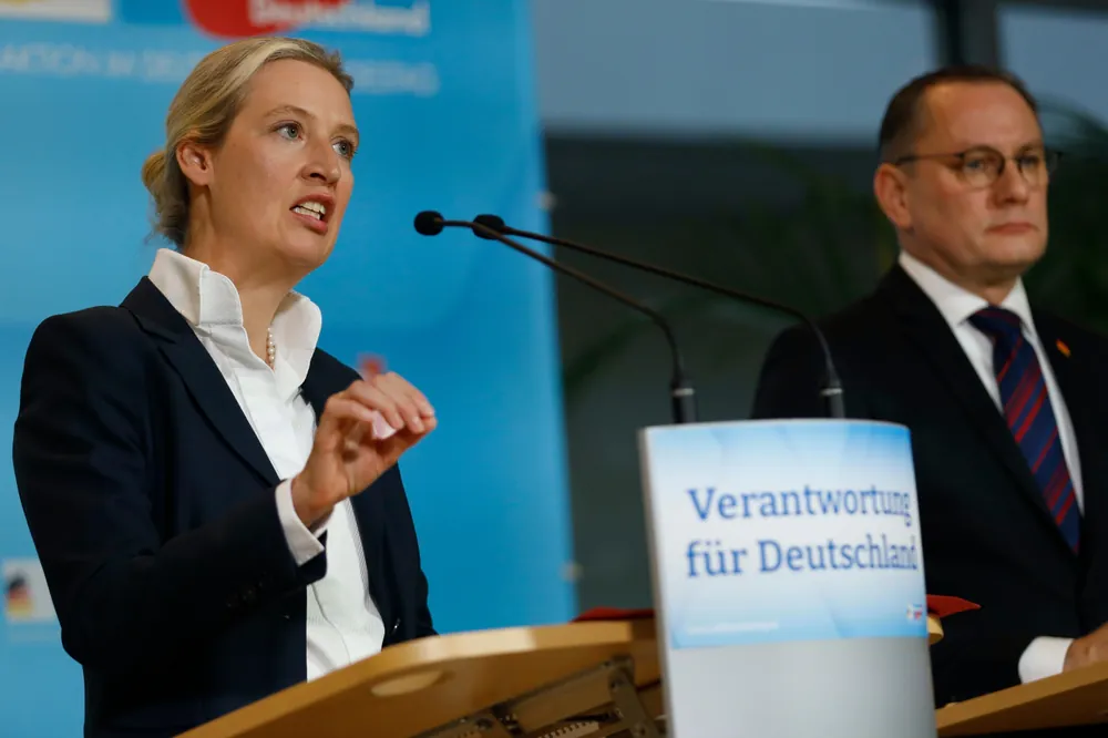 Allemagne : l'Afd continue sa percée historique