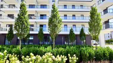 copropriete-paris-opte-vegetalisation-budget-900-000