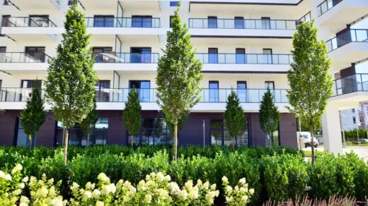 copropriete-paris-opte-vegetalisation-budget-900-000