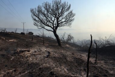 megafeu-gironde-officiellement-eteint-france