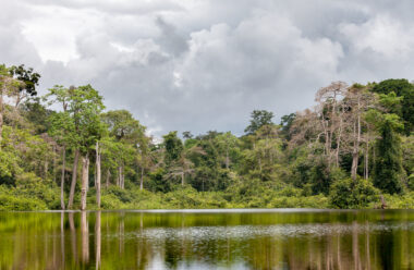 Pollution plastique : l'organisation Plastic Odyssey part en mission au Gabon