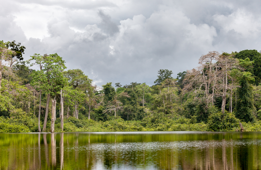 Pollution plastique : l'organisation Plastic Odyssey part en mission au Gabon