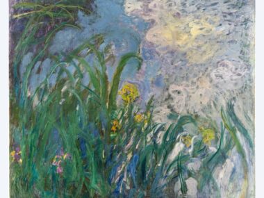 monet-iris-millions-investissement-art-france